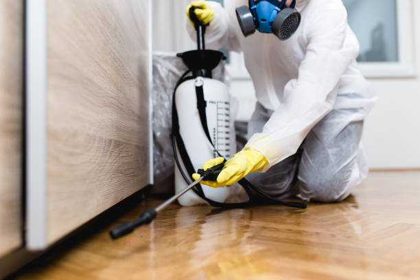 Best Wasp Removal Services  in Fountain, CO