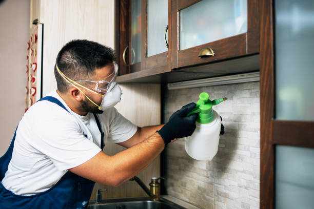 Best Wildlife Control Services  in Fountain, CO