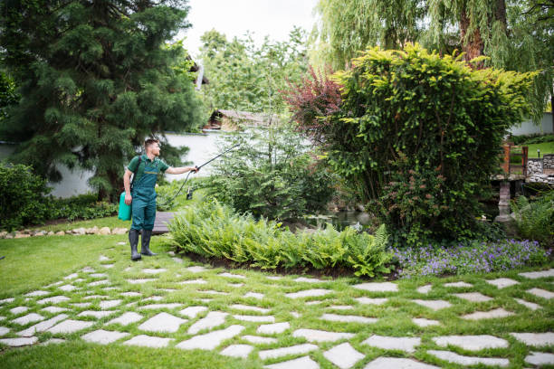 Best Mosquito Control Services  in Fountain, CO
